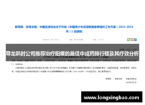 尊龙凯时公司推荐治疗阳瘘的最佳中成药排行榜及其疗效分析