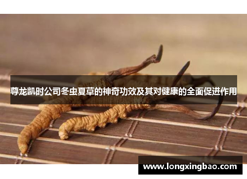 尊龙凯时公司冬虫夏草的神奇功效及其对健康的全面促进作用